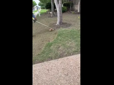Before & After - See the transformation from start to finish
