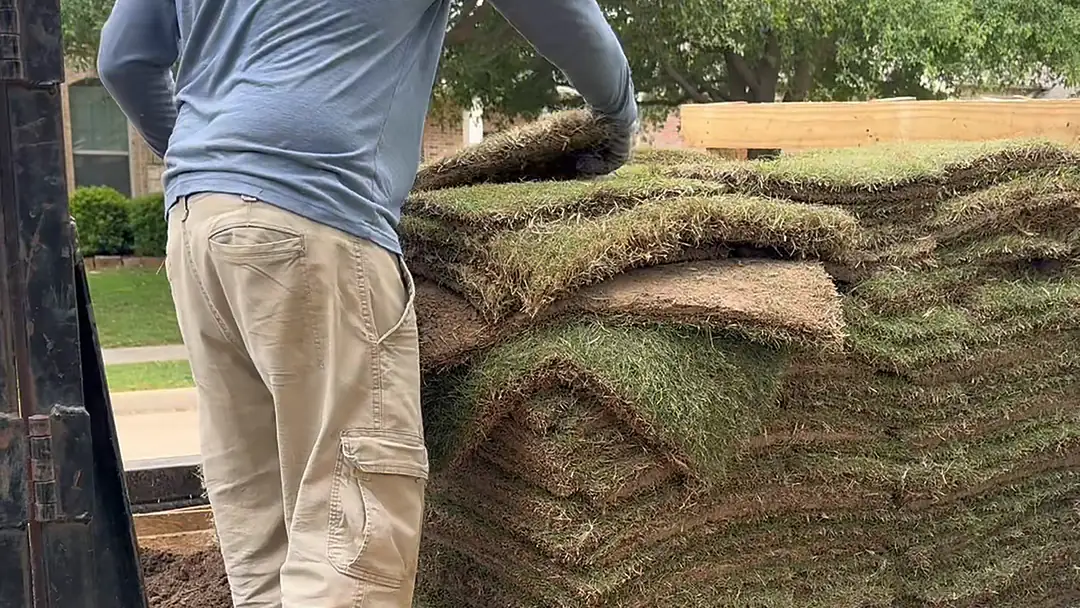 Crew member unloading fresh sod on install day
